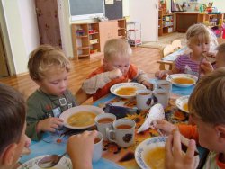 Коммунисты требуют разобраться с «оптимизацией» питания в детских садах
