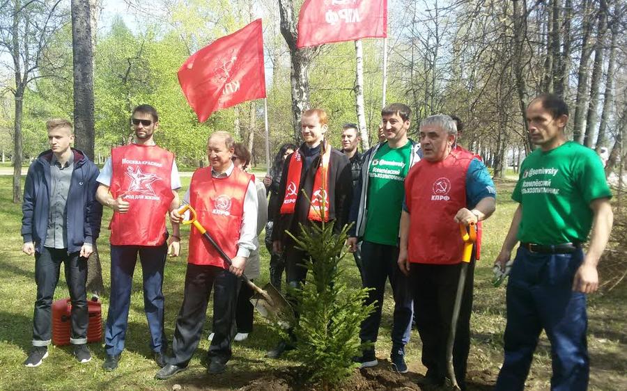 Московские коммунисты посадили ели в Парке Победы на Поклонной горе