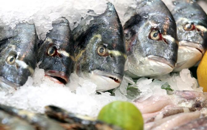 Нас кормят смертельно опасной рыбой?