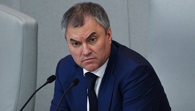 Вячеслав Володин поддержал идею принятия закона о защите президента