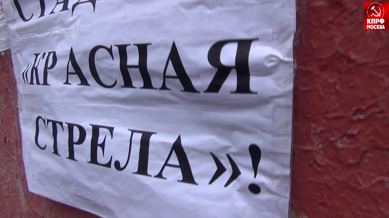 Полиция сорвала одиночный пикет в защиту стадиона «красная  стрела»!