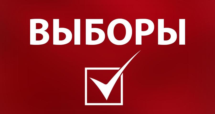 Команда Андрея Ищенко борется с фальсификацией выборов