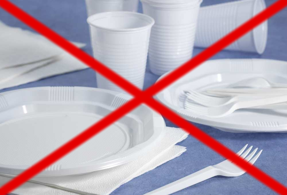 Правительство поддержало предложение КПРФ по запрету одноразового пластика
