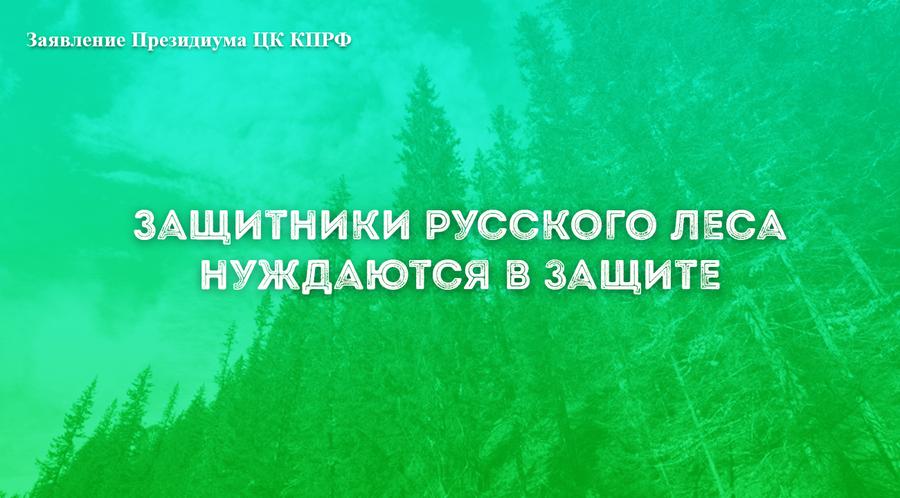 Защитники русского леса нуждаются в защите.