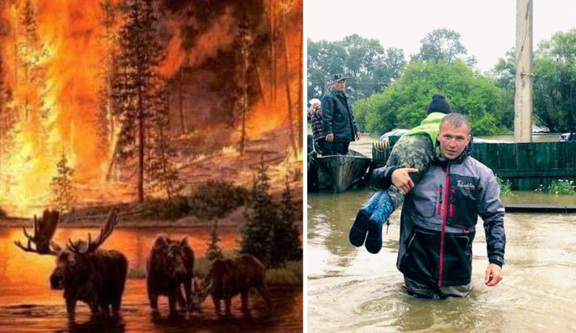 Фото животных после пожара в лесу