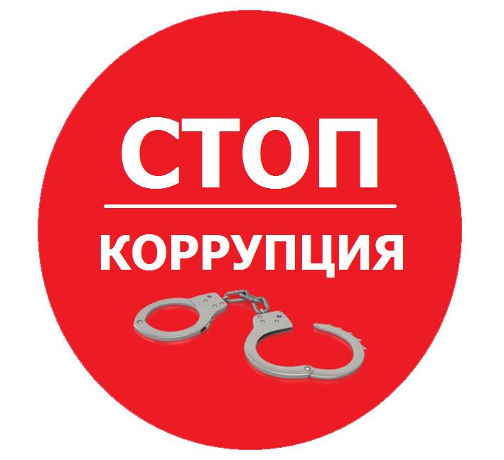 Ольга Алимова: «Нужно применять конфискацию имущества как дополнительное наказание за тяжкие и особо тяжкие преступления»