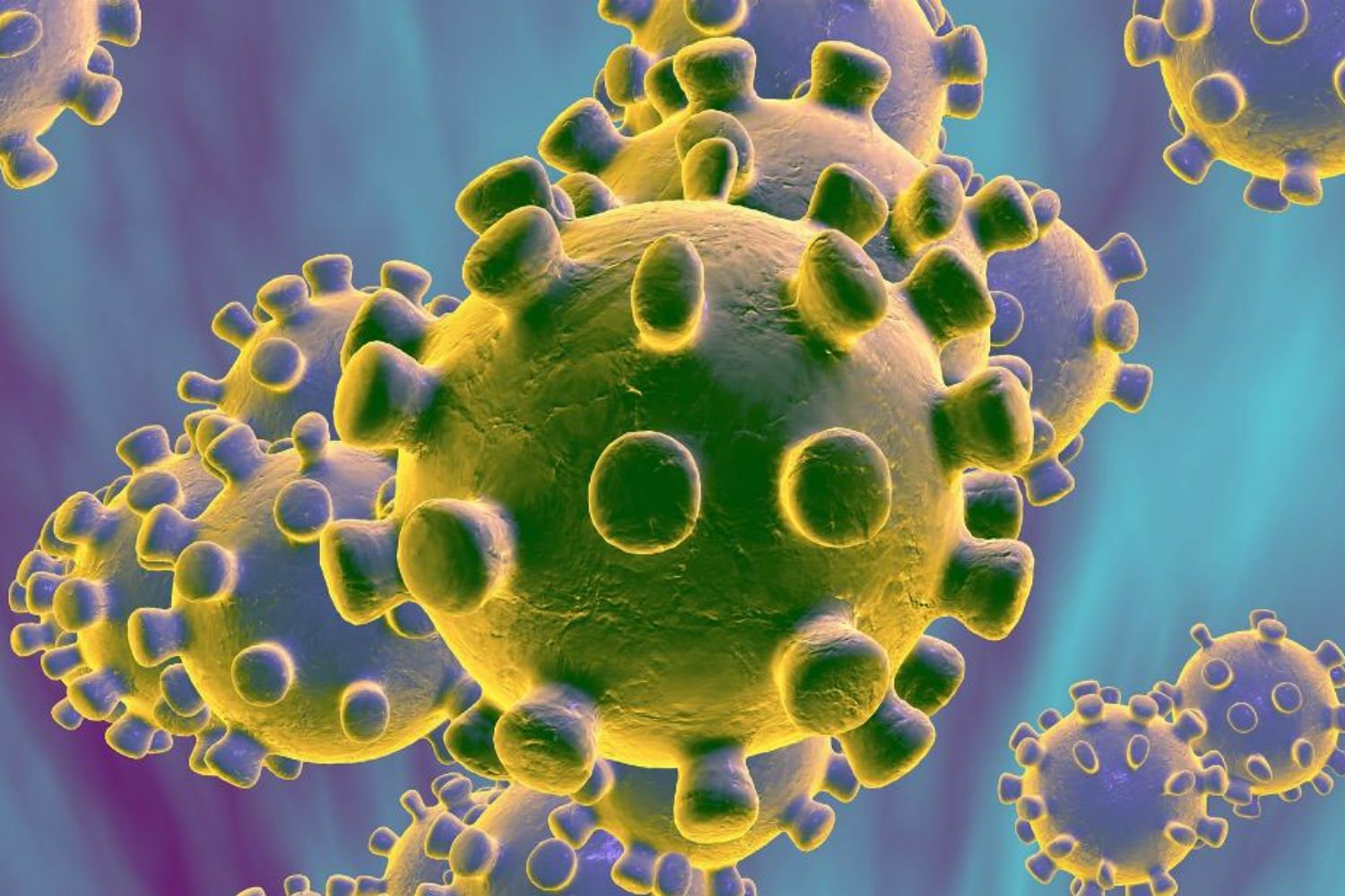 А так ли страшен коронавирус, как его малюют?