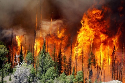 Беда не приходит одна. Россия снова задыхается от лесных пожаров