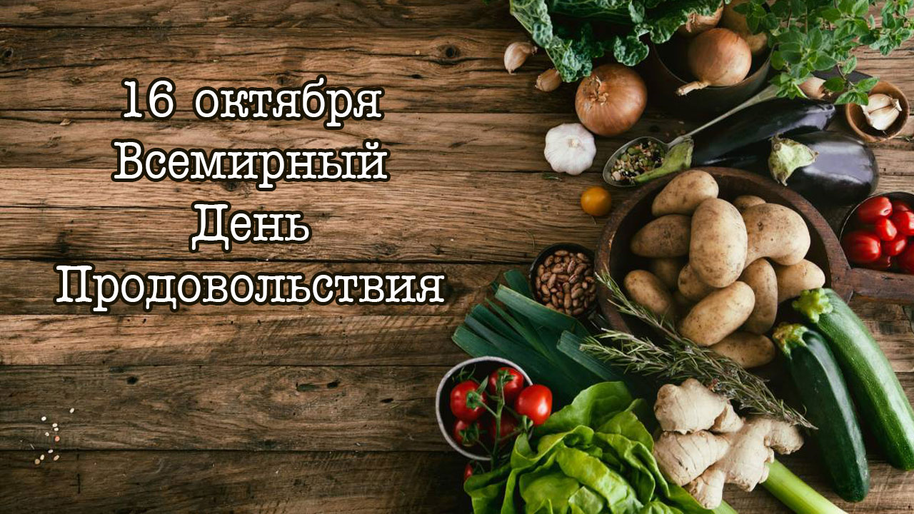 Продовольственная безопасность — основа независимости России
