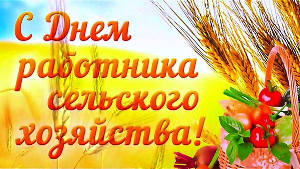 Владимир Кашин: «С Днём работника сельского хозяйства!»