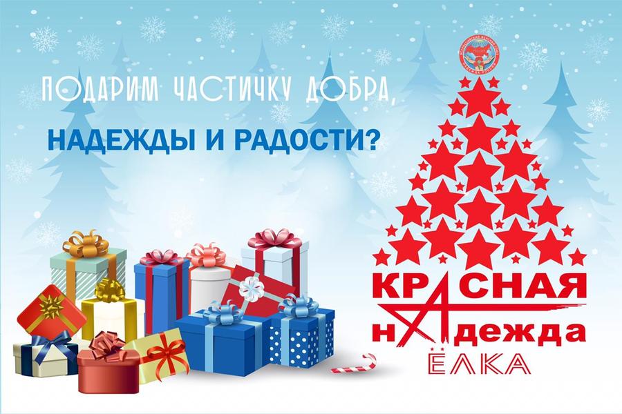 Н.А. Останина заявила о старте общероссийской благотворительной акции «Красная елка надежды»