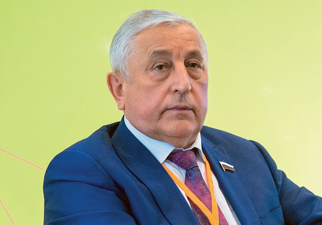 Николай Харитонов: «Решив назначить кураторов, правительство расписывается в бессилии на местах»