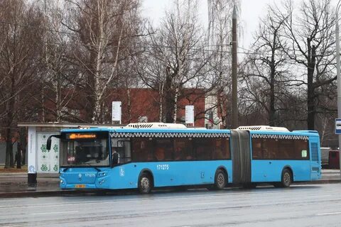 Провал транспортной политики Москвы