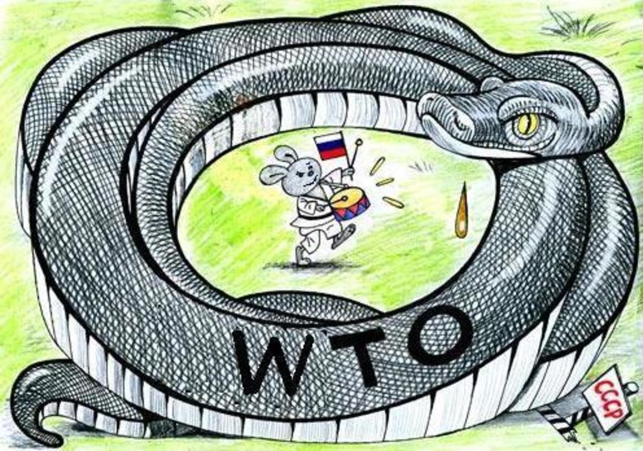 План анаконда. План НАТО Анаконда. Кольцо анаконды геополитика. Петля анаконды. Россия в кольце анаконды.