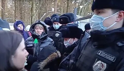 Москва. Полиция официально признала нарушения при задержании активистов в Троицком лесу