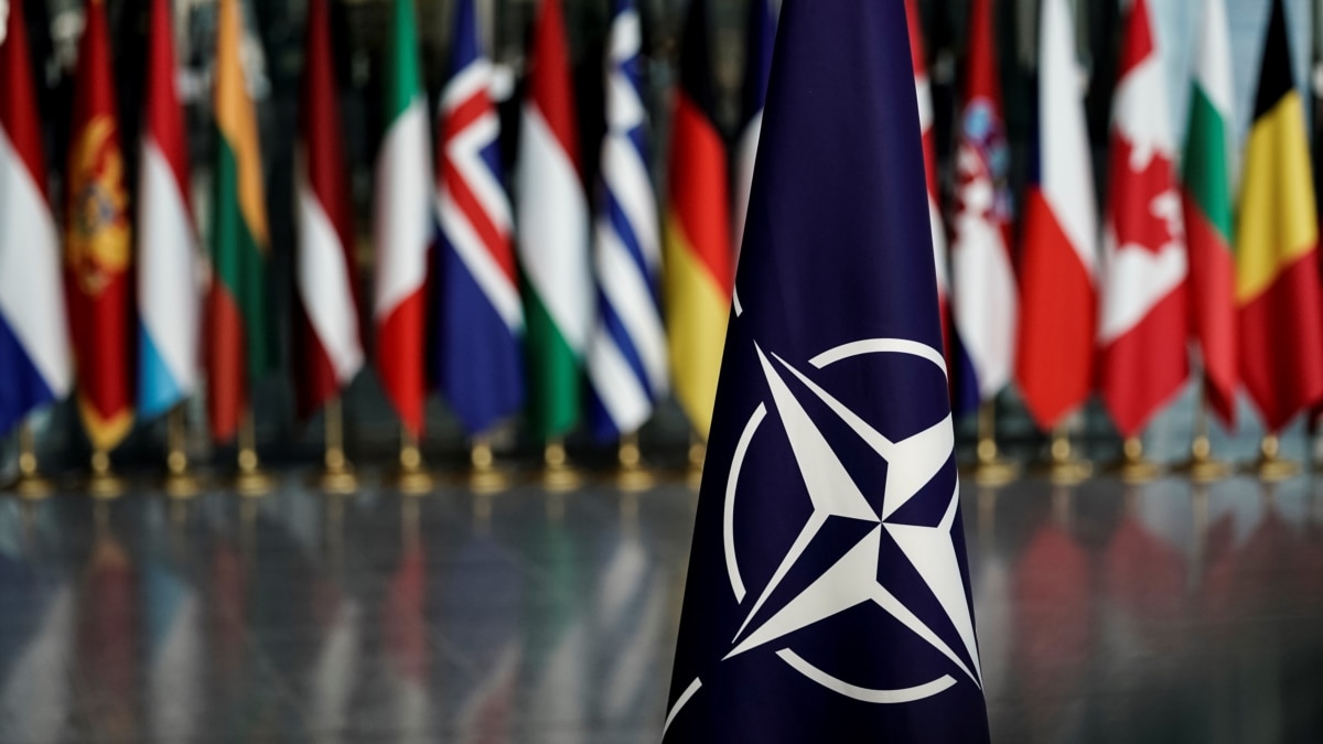«Умерший мозг» НАТО воскрешению не подлежит…