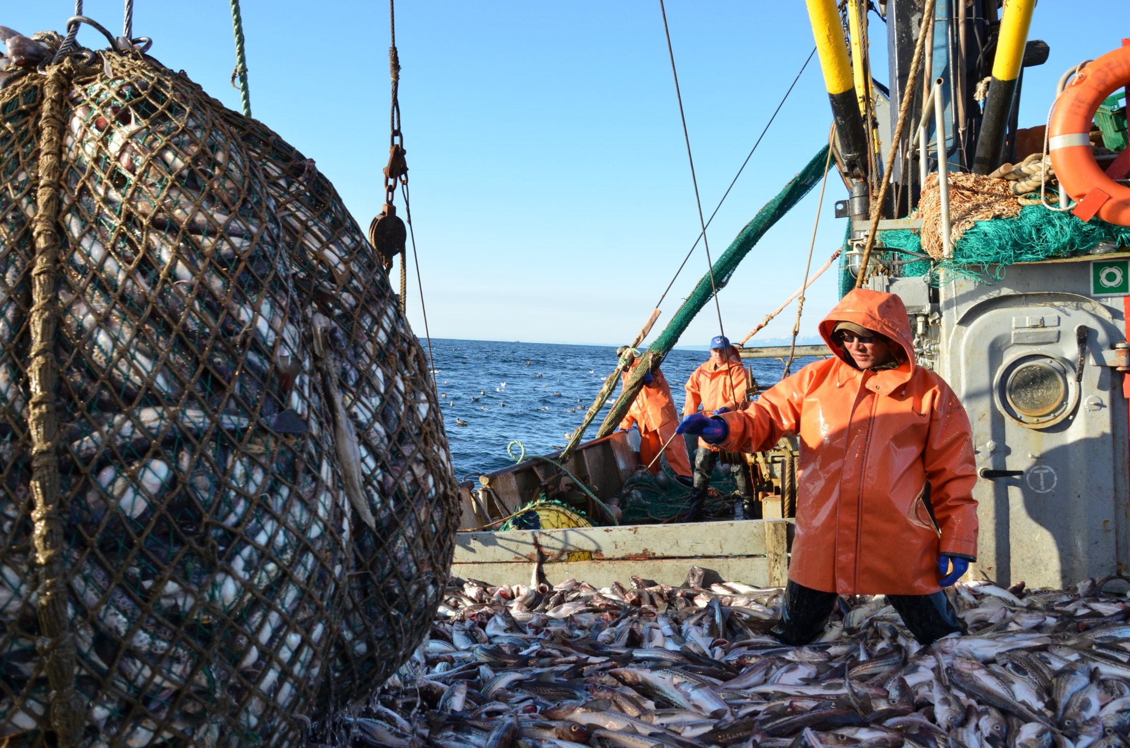 В.К. Зиланов: «За дорогой рыбный базар кто в ответе: рыбаки или власть?»