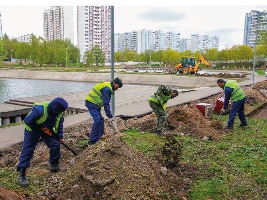 Сергей Обухов направил депутатские запросы на тему экологического загрязнения почв на востоке Москвы