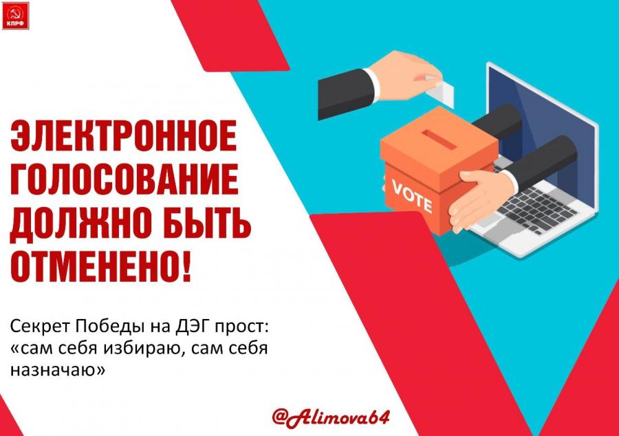 Ольга Алимова: «Электронное голосование должно быть отменено!»