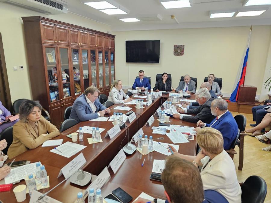 Анастасия Удальцова провела в Государственной Думе заседание Рабочей группы по вопросам социальной адаптации мигрантов