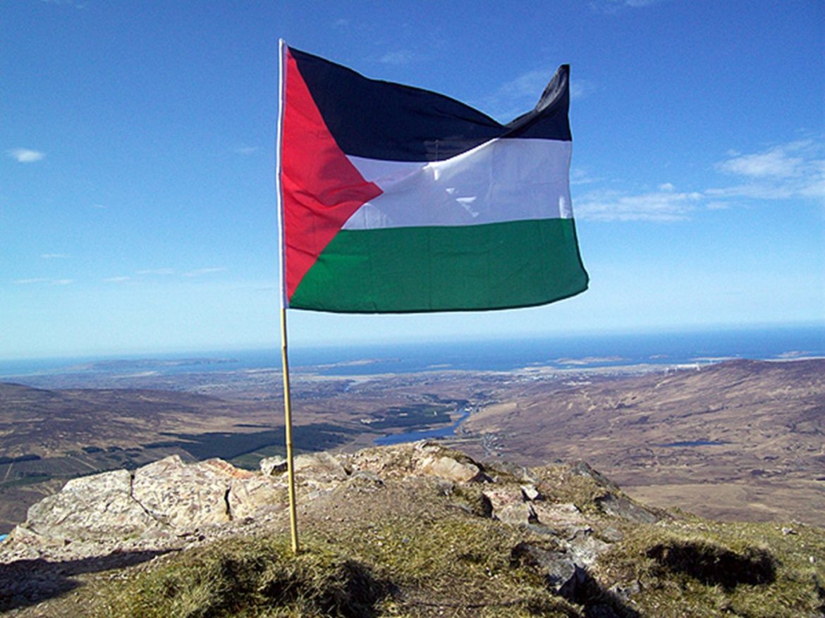 Денис Парфенов: «Палестина — мы с тобой!»