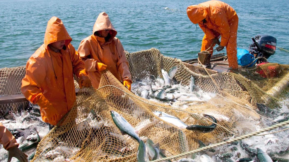 «Большой бизнес» глушит рыбный промысел
