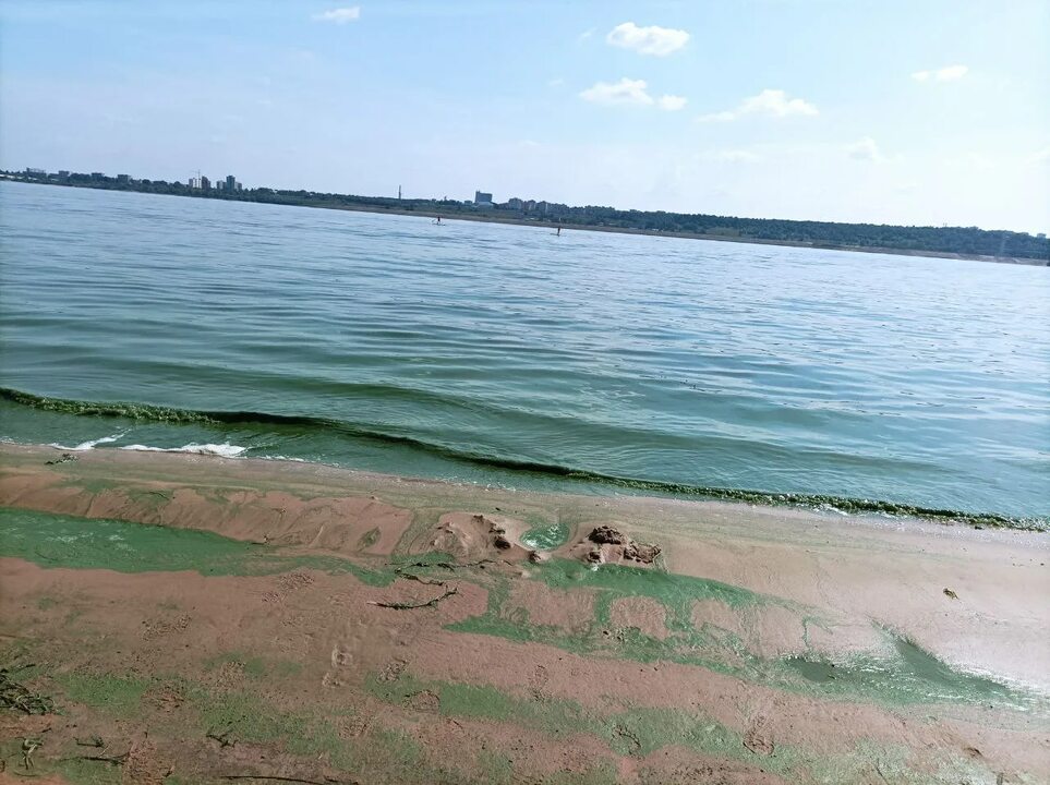 Волга-Волга, или что можно выловить в мутной воде…