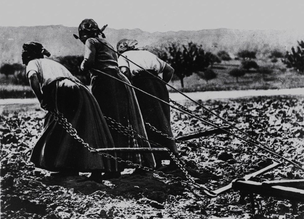 Льготная «крепость»