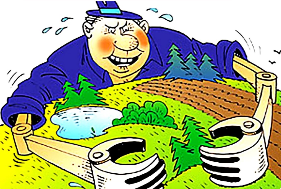 Прополка рыночных сорняков