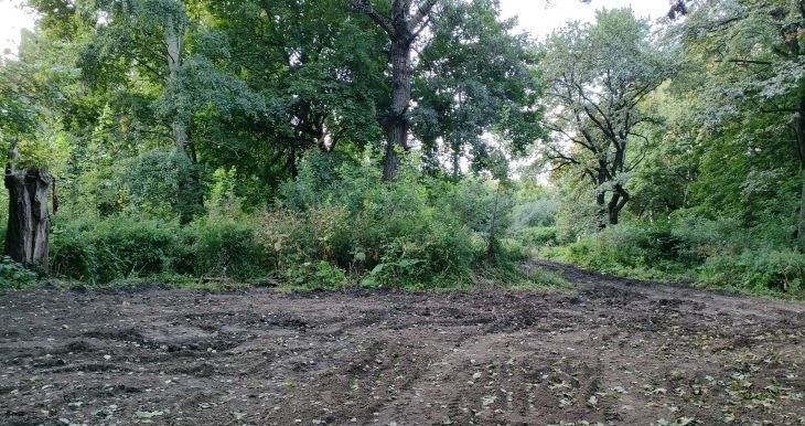 Народная приемная КПРФ. ЮЗАО. Стали известны подробности пожара в Коробковском саду….