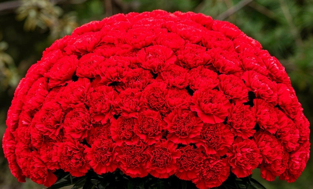 Опасная это профессия – журналист