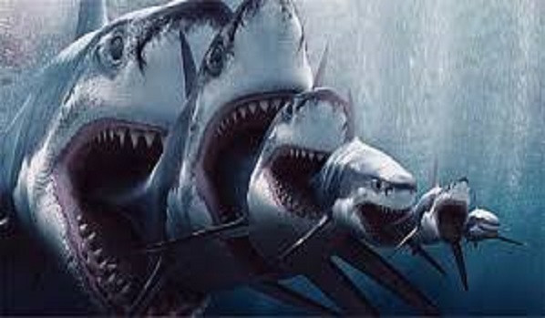 Марионетки на линии конфронтации